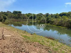 Fazenda / Sítio / Chácara com 3 Quartos à venda, 180m² no Zona Rural, Gameleira de Goiás - Foto 4