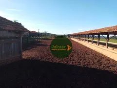 Fazenda / Sítio / Chácara à venda, 51546000m² no Zona Rural, Campos Belos - Foto 12