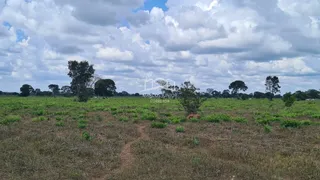 Fazenda / Sítio / Chácara com 2 Quartos à venda, 54250000m² no Zona Rural, Buritizeiro - Foto 18