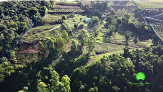 Fazenda / Sítio / Chácara à venda, 120000m² no Zona Rural, Monte Belo do Sul - Foto 4