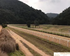 Fazenda / Sítio / Chácara com 10 Quartos à venda, 120000m² no Serra, Teresópolis - Foto 12