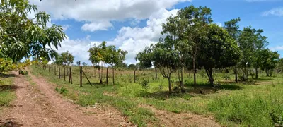 Fazenda / Sítio / Chácara com 4 Quartos à venda, 30000m² no Area Rural do Paranoa, Brasília - Foto 9