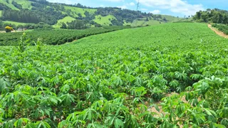 Fazenda / Sítio / Chácara à venda, 455000m² no Zona Rural, Turvolândia - Foto 22