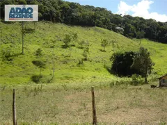 Fazenda / Sítio / Chácara com 4 Quartos à venda, 1150000m² no Corrego Sujo, Teresópolis - Foto 38