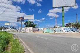 Terreno / Lote / Condomínio para alugar, 1476m² no Roçado, São José - Foto 3