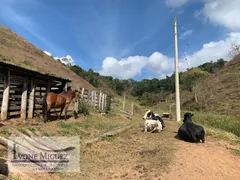 Terreno / Lote / Condomínio à venda, 121000m² no , Paraíba do Sul - Foto 17