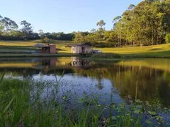 Fazenda / Sítio / Chácara com 10 Quartos à venda, 110000m² no Zona Rural, Canguçu - Foto 4