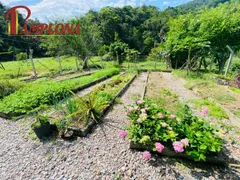 Fazenda / Sítio / Chácara com 5 Quartos à venda, 400m² no Gaspar Grande, Gaspar - Foto 20