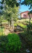 Fazenda / Sítio / Chácara com 3 Quartos à venda, 130m² no Martinica, Viamão - Foto 18