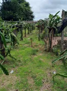 Fazenda / Sítio / Chácara com 2 Quartos à venda, 170000m² no Zona Rural, Monte Alegre de Minas - Foto 19