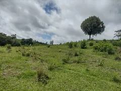 Fazenda / Sítio / Chácara à venda, 48400m² no Zona Rural, Porangaba - Foto 9