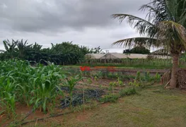 Fazenda / Sítio / Chácara com 5 Quartos à venda, 300m² no Parque da Grama, Indaiatuba - Foto 49