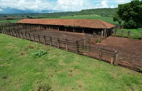 Fazenda / Sítio / Chácara com 7 Quartos à venda, 200m² no Area Rural de Rio Verde, Rio Verde - Foto 15