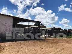 Fazenda / Sítio / Chácara com 4 Quartos à venda, 1171675m² no Centro, Salgado - Foto 14