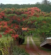 Fazenda / Sítio / Chácara com 5 Quartos à venda, 4641m² no Jardim dos Lagos, Itatiba - Foto 4