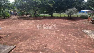 Fazenda / Sítio / Chácara com 5 Quartos à venda, 250m² no Area Rural de Araguari, Araguari - Foto 7