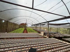 Fazenda / Sítio / Chácara com 2 Quartos à venda, 100m² no , Mandaguaçu - Foto 13