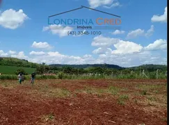 Terreno / Lote / Condomínio à venda, 2500m² no Zona Rural, Ibiporã - Foto 2