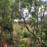 Fazenda / Sítio / Chácara com 1 Quarto à venda, 30000m² no Coxipó do Ouro, Cuiabá - Foto 4