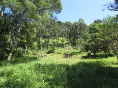 Fazenda / Sítio / Chácara com 1 Quarto à venda, 150000m² no Rural, Extrema - Foto 56