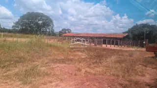 Fazenda / Sítio / Chácara com 2 Quartos à venda, 54250000m² no Zona Rural, Buritizeiro - Foto 28