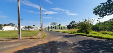 Terreno / Lote / Condomínio à venda, 368m² no Jardim Karaíba, Uberlândia - Foto 6