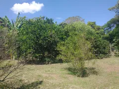 Fazenda / Sítio / Chácara com 3 Quartos à venda, 10000000m² no Jardim dos Lopes, Limeira - Foto 31
