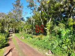 Fazenda / Sítio / Chácara com 6 Quartos à venda, 25400m² no Ratones, Florianópolis - Foto 15