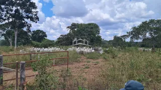 Fazenda / Sítio / Chácara com 2 Quartos à venda, 54250000m² no Zona Rural, Buritizeiro - Foto 1