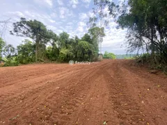 Terreno / Lote / Condomínio à venda, 96000m² no , Santa Tereza - Foto 10