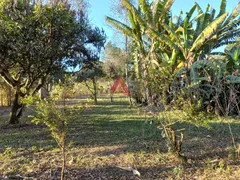 Fazenda / Sítio / Chácara com 2 Quartos à venda, 120m² no Centro, São Luiz do Paraitinga - Foto 10