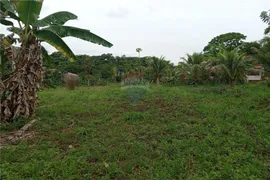 Fazenda / Sítio / Chácara com 1 Quarto à venda, 2000m² no Paraíso da Cachoeira, Mogi Mirim - Foto 14