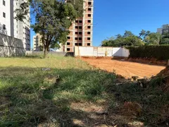 Apartamento com 4 Quartos à venda, 120m² no Ouro Preto, Belo Horizonte - Foto 3