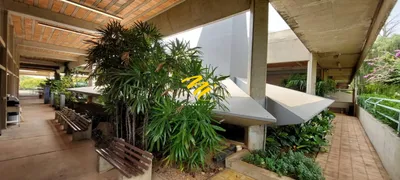 Conjunto Comercial / Sala com 7 Quartos para alugar, 211m² no Jardim Paraíso, Campinas - Foto 26