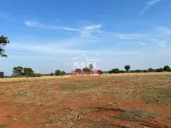 Fazenda / Sítio / Chácara à venda no Zona Rural, Jussara - Foto 14