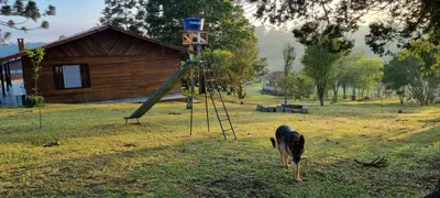 Fazenda / Sítio / Chácara com 3 Quartos à venda, 10000m² no Rancho Alegre, Campina Grande do Sul - Foto 3