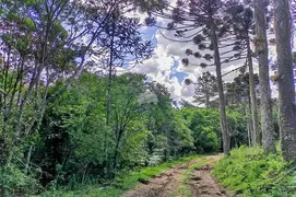 Fazenda / Sítio / Chácara à venda, 20000m² no Zona Rural, Bocaiúva do Sul - Foto 2