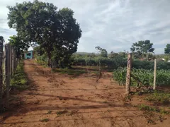 Fazenda / Sítio / Chácara com 3 Quartos à venda, 5000m² no Area Rural do Paranoa, Brasília - Foto 8