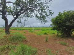 Terreno / Lote / Condomínio à venda, 1000m² no Morada dos Pássaros, Uberlândia - Foto 5