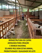 Fazenda / Sítio / Chácara com 2 Quartos à venda, 90000m² no Area Rural do Paranoa, Brasília - Foto 73