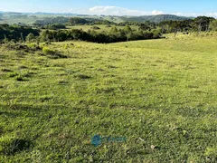 Fazenda / Sítio / Chácara à venda, 80m² no Vila Seca, Caxias do Sul - Foto 25