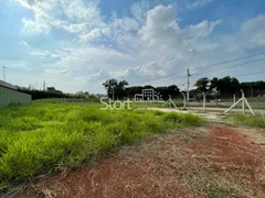 Terreno / Lote Comercial para venda ou aluguel, 11000m² no Parque Brasil 500, Paulínia - Foto 45