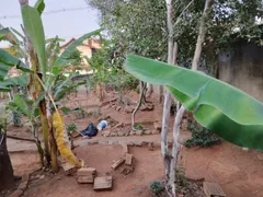 Terreno / Lote / Condomínio à venda no Nova Suíssa, Belo Horizonte - Foto 3