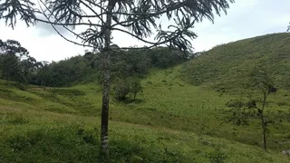 Fazenda / Sítio / Chácara com 2 Quartos à venda, 240000m² no Pouso Alto, Natividade da Serra - Foto 13