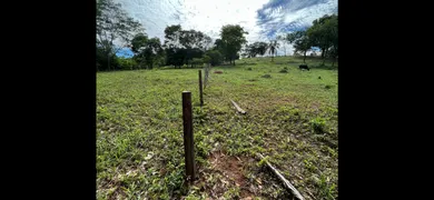 Fazenda / Sítio / Chácara com 3 Quartos à venda, 27000m² no Area Rural de Senador Canedo, Senador Canedo - Foto 22