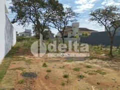 Terreno / Lote / Condomínio à venda, 800m² no Jardim Karaíba, Uberlândia - Foto 1