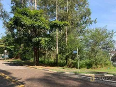 Terreno / Lote / Condomínio à venda, 250m² no Jardim Leonor Mendes de Barros, São Paulo - Foto 2