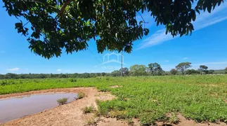 Fazenda / Sítio / Chácara com 3 Quartos à venda, 5200000m² no Zona Rural, Buritizeiro - Foto 11