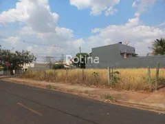 para alugar, 250m² no Jardim das Palmeiras, Uberlândia - Foto 1