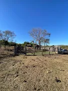 Fazenda / Sítio / Chácara com 3 Quartos à venda, 732000m² no Zona Rural, Jaraguá - Foto 49